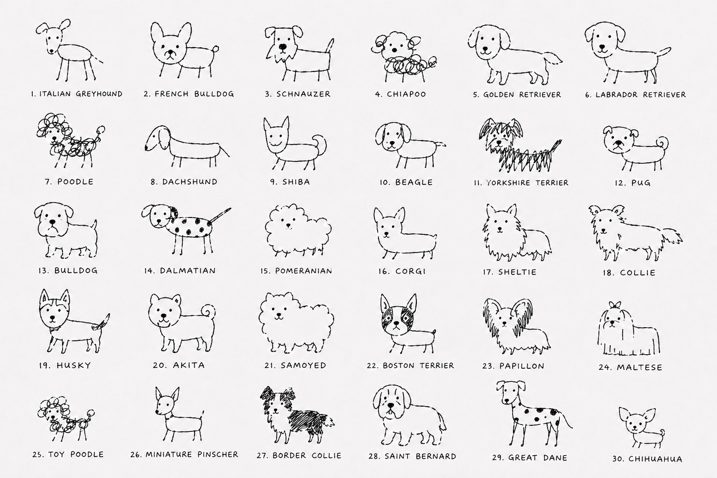 【予約販売】YOU THROUGH MY EYES. | 30 Dog Breeds