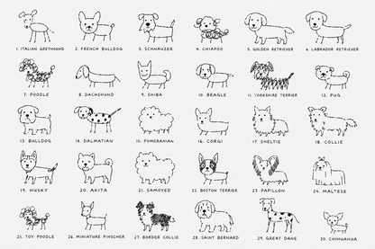 【予約販売】YOU THROUGH MY EYES. | 30 Dog Breeds